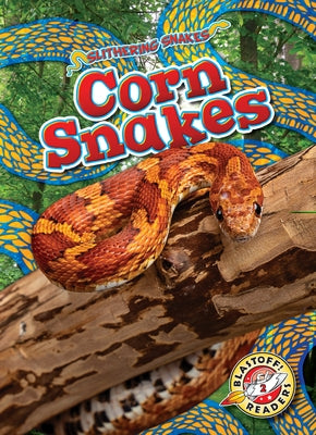 Corn Snakes by Mattern, Joanne