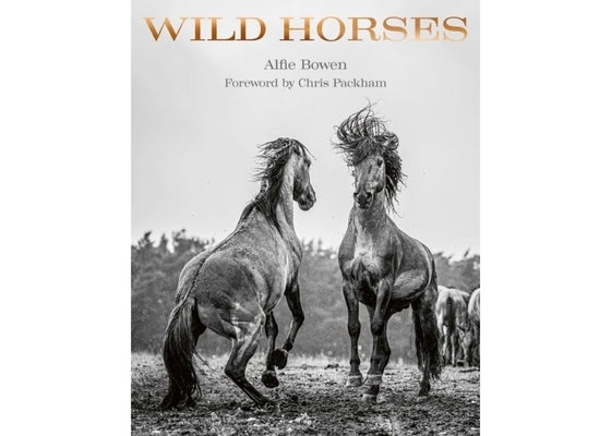 Wild Horses by Bowen, Alfie