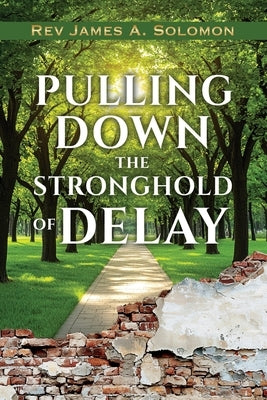 PULLING DOWN the STRONGHOLD of DELAY by Solomon, James A.