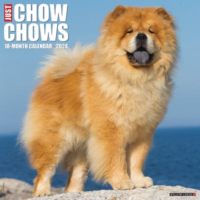 Just Chow Chows 2024 12 X 12 Wall Calendar by Willow Creek Press