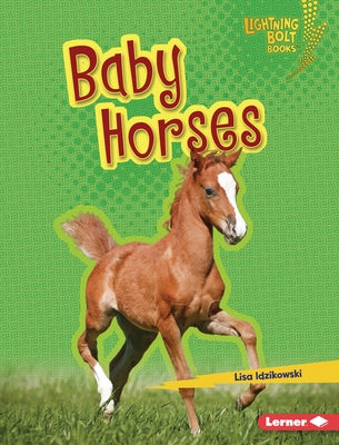 Baby Horses by Idzikowski, Lisa