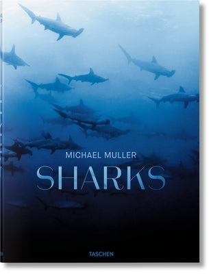 Michael Muller: Sharks by Nelson, Arty