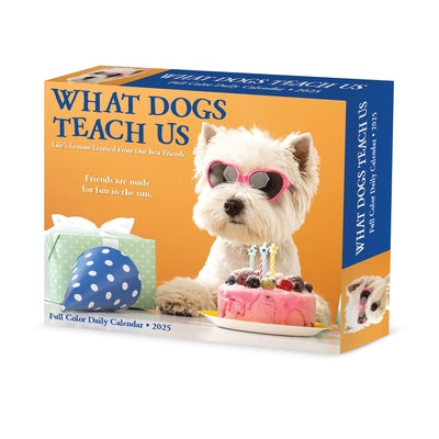 What Dogs Teach Us 2025 6.2 X 5.4 Box Calendar by Willow Creek Press