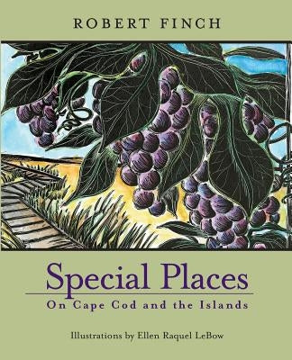 Special Places on Cape Cod and the Islands by Finch, Robert