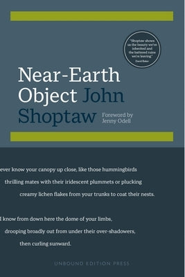 Near-Earth Object by Shoptaw, John