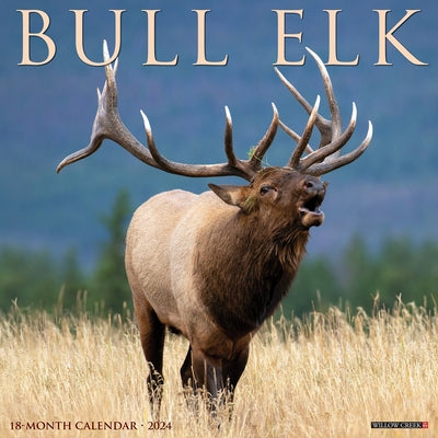 Bull Elk 2024 12 X 12 Wall Calendar by Willow Creek Press