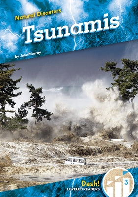 Tsunamis by Murray, Julie