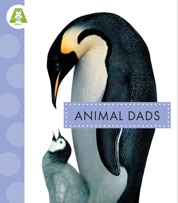 Animal Dads by Schuh, Mari C.
