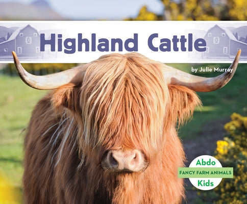 Highland Cattle by Murray, Julie