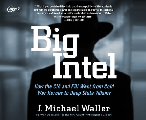Big Intel: How the CIA Went from Cold War Heroes to Deep State Villains by Waller, J. Michael