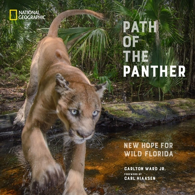 Path of the Panther: New Hope for Wild Florida by Ward, Carlton