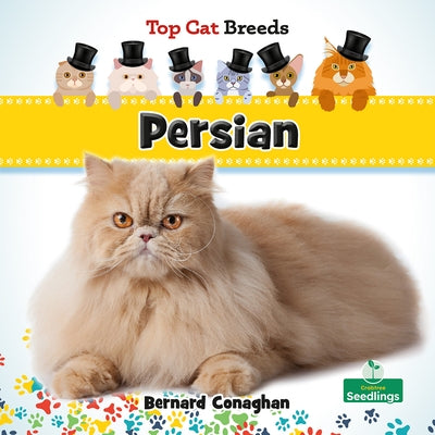 Persian by Conaghan, Bernard