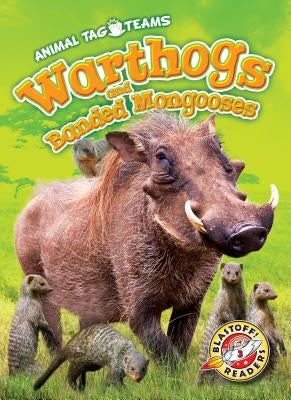 Warthogs and Banded Mongooses by Schuetz, Kari