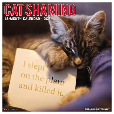 Cat Shaming 2024 12 X 12 Wall Calendar by Willow Creek Press
