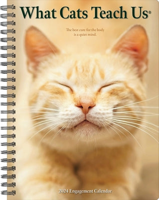 What Cats Teach Us 2024 6.5 X 8.5 Engagement Calendar by Willow Creek Press