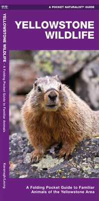 Yellowstone Wildlife: A Folding Pocket Guide to Familiar Animals of the Yellowstone Area by Kavanagh, James