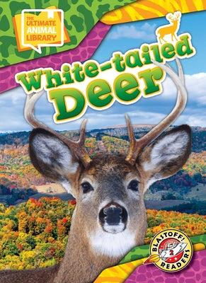 White-Tailed Deer by Scheffer, Janie