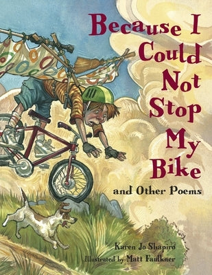 Because I Could Not Stop My Bike by Shapiro, Karen Jo
