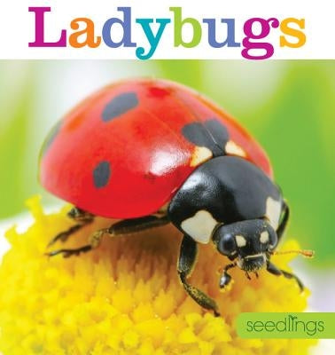 Seedlings: Ladybugs by Frisch, Aaron