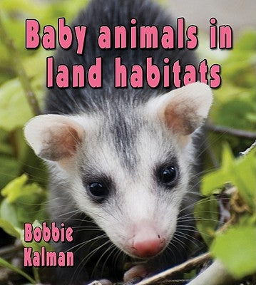 Baby Animals in Land Habitats by Kalman, Bobbie