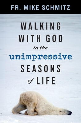 Walking with God in the Unimpressive Seasons of Life by Schmitz, Mike