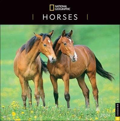 National Geographic: Horses 2024 Wall Calendar by National Geographic