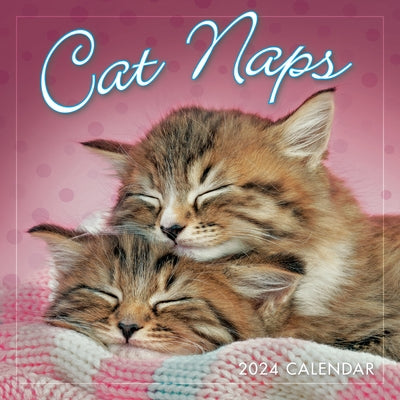Cat Naps by Sellers Publishing, Inc