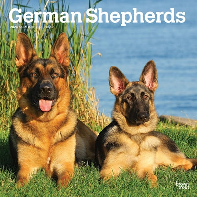 German Shepherds 2024 Square by Browntrout
