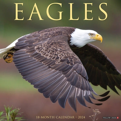 Eagles 2024 12 X 12 Wall Calendar by Willow Creek Press