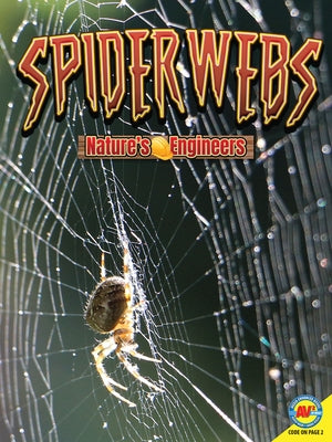 Spiderwebs by Furstinger, Nancy