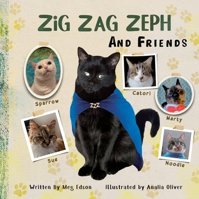 Zig Zag Zeph and Friends by Edson, Meg