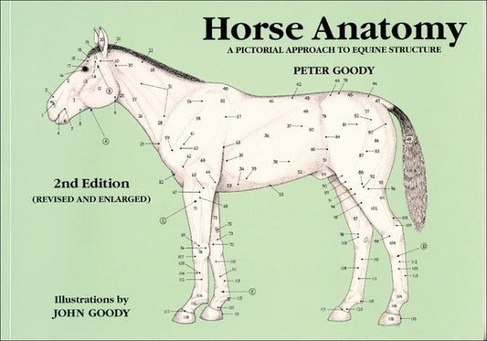 Horse Anatomy: A Pictorial Approach to Equine Structure by Goody, Peter