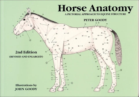 Horse Anatomy: A Pictorial Approach to Equine Structure by Goody, Peter