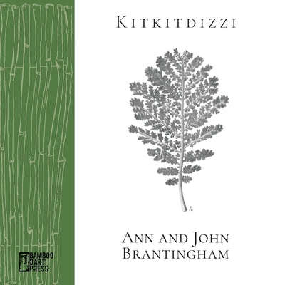 Kitkitdizzi: A Non-Linear Memoir of the High Sierra by Brantingham, John