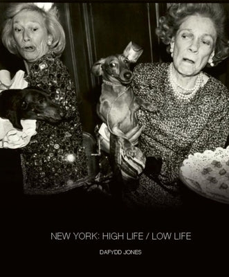 New York: High Life / Low Life by Jones, Dafydd
