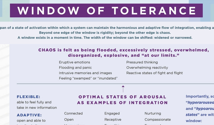 Window of Tolerance Laminated Card by Siegel, Daniel J.