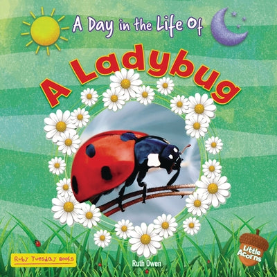 A Ladybug by Owen, Ruth