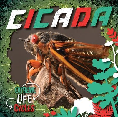 Cicada by Andrews, E. C.