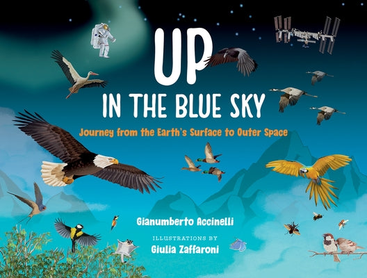 Up in the Blue Sky: Journey from the Earth's Surface to Outer Space by Accinelli, Gianumberto