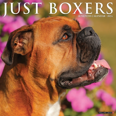 Just Boxers 2024 12 X 12 Wall Calendar by Willow Creek Press