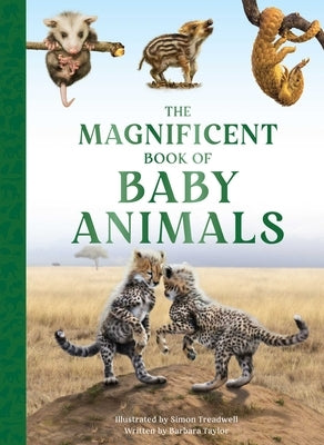 The Magnificent Book of Baby Animals by Taylor, Barbara