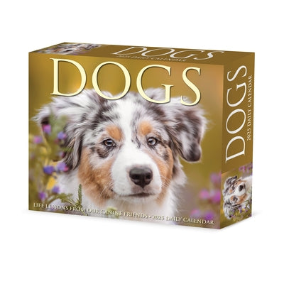 Dogs 2025 6.2 X 5.4 Box Calendar by Willow Creek Press