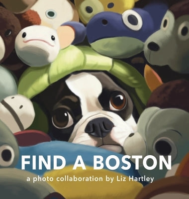 Find a Boston by Hartley, Liz