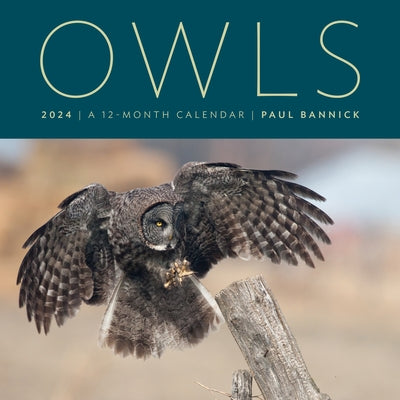 Owls 2024: A 12-Month Wall Calendar by Bannick, Paul