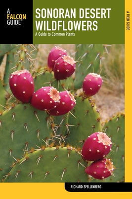 Sonoran Desert Wildflowers: A Guide To Common Plants by Spellenberg, Richard