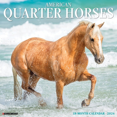 American Quarter Horses 2024 12 X 12 Wall Calendar by Willow Creek Press