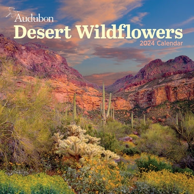 Audubon Desert Wildflowers Wall Calendar 2024: A Visual Delight for Nature Lovers by Workman Calendars