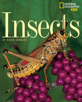 Insects by Bernard, Robin