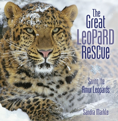 The Great Leopard Rescue: Saving the Amur Leopards by Markle, Sandra