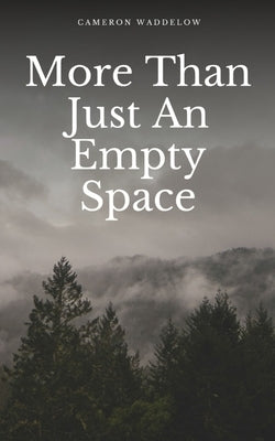 More Than Just An Empty Space by Waddelow, Cameron